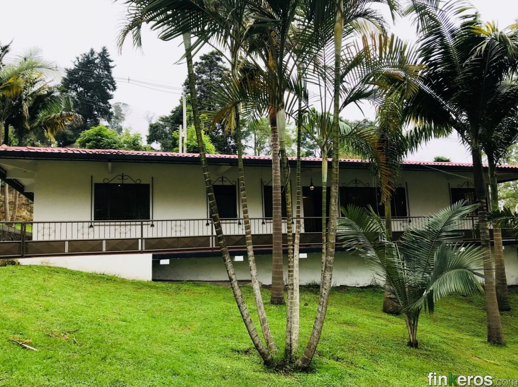 Finca Productiva en San Antonio del Tequendama - Ganga - Finca en San Antonio Tequendama, Cundinamarca